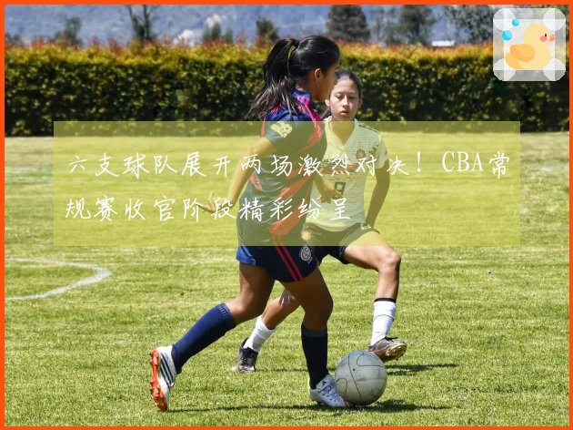 六支球队展开两场激烈对决！CBA常规赛收官阶段精彩纷呈