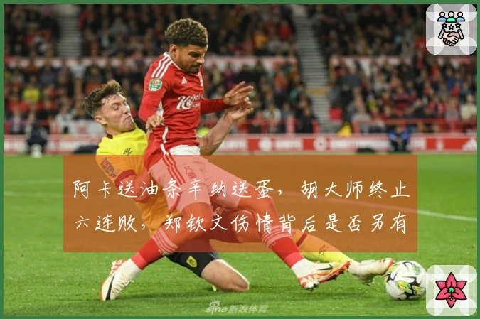 阿卡送油条辛纳送蛋，胡大师终止六连败，郑钦文伤情背后是否另有隐情？